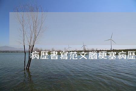 病歷書寫范文(腦梗塞病歷書寫范文)