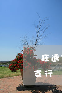 瘋狂透支信用卡背后的故事(什么是信用卡透支行為)
