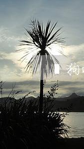 瘋狗咬人怎么救濟