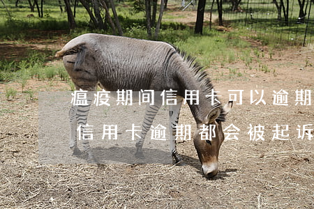 瘟疫期间信用卡可以逾期吗(疫情之下很多人信用卡逾期都会被起诉吗)