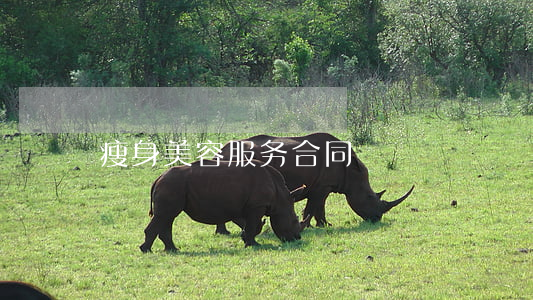 瘦身美容服务合同
