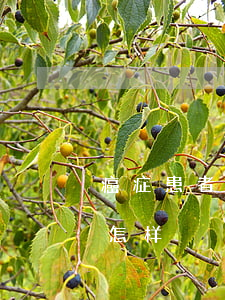 癌症患者欠银行信用卡(癌症病人欠信用卡会怎样)