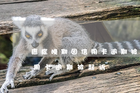 癌症晚期因信用卡逾期被起诉 收到短信说信用卡逾期被起诉
