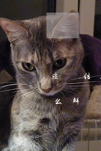 癌癥信用卡逾期處理方法(銀行信用卡逾期怎么解決)
