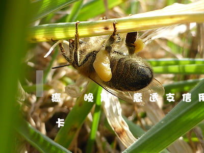 癌癥晚期惡意透支信用卡(啥叫惡意透支信用卡)