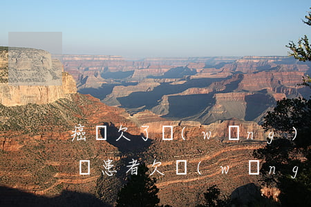 癌癥欠了網(wǎng)貸還不起怎么辦(癌癥患者欠網(wǎng)貸不還會怎么樣)