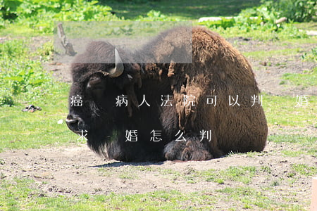 癌癥病人法院可以判離婚嗎(丈夫得了癌癥要求離婚怎么判)