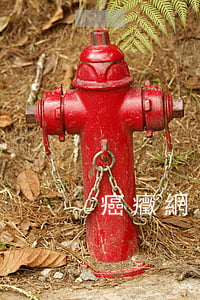 癌癥網(wǎng)貸逾期處理方法