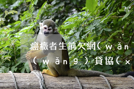 癌癥者生前欠網(wǎng)貸(得了癌癥網(wǎng)貸協(xié)商還款)