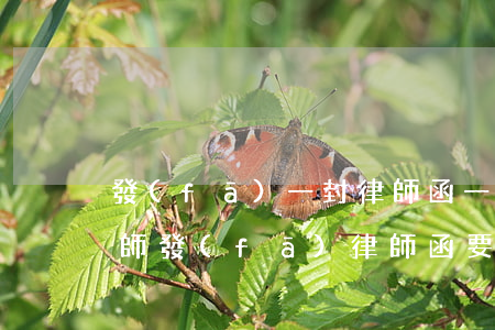 發(fā)一封律師函一般要多少錢(委托律師發(fā)律師函要多少錢)