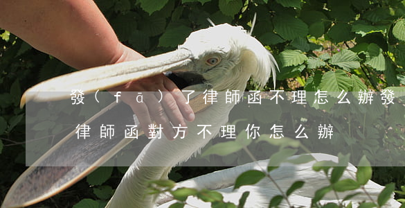 發(fā)了律師函不理怎么辦(發(fā)律師函對方不理你怎么辦)