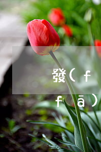 發(fā)了律師函就一定要打官司么(發(fā)了律師函就一定會(huì)起訴嗎)