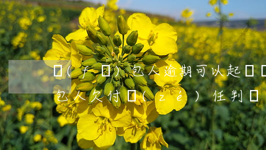 發(fā)包人逾期可以起訴嗎(發(fā)包人欠付責(zé)任判決書)