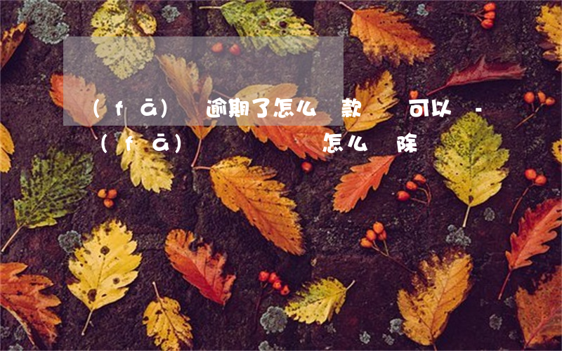 發(fā)唄逾期了怎么還款記錄可以刪-發(fā)唄記錄賬單怎么刪除
