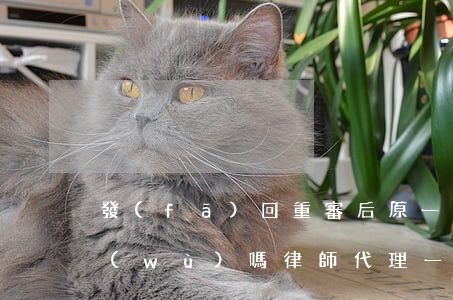 發(fā)回重審后原一審代理律師還服務(wù)嗎(律師代理一審到什么時候結(jié)束)