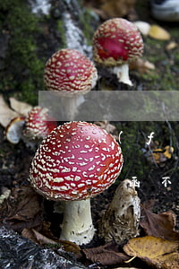 發(fā)律師函對方不理你怎么辦(收到律師函不處理會怎么樣)