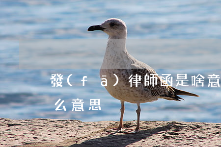 發(fā)律師函是啥意思(律師通知函是什么意思)