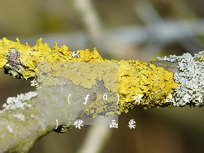 發(fā)律師函要1000塊嗎(發(fā)律師函要錢嗎)
