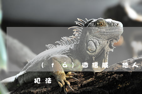 發(fā)微信威脅他人起訴(微信威脅別人犯法嗎)