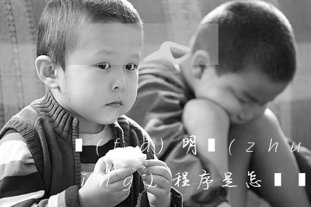 發(fā)明專(zhuān)利申請(qǐng)程序是怎樣規(guī)定的