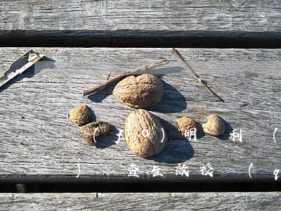 發(fā)明專利實(shí)質(zhì)審查生效授權(quán)要多久
