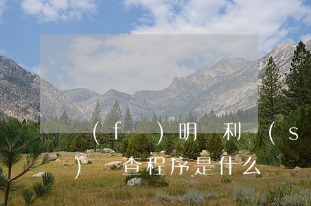 發(fā)明專利實(shí)質(zhì)審查程序是什么