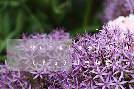 發(fā)明專利權(quán)的期限(發(fā)明專利權(quán)的期限是幾年)