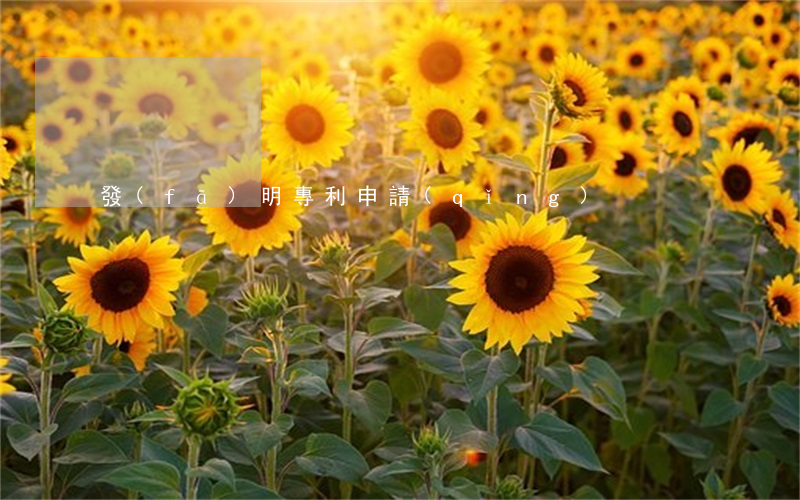 發(fā)明專利申請(qǐng)