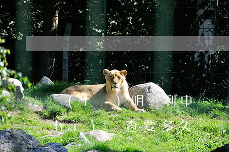 發(fā)明專利申請實(shí)質(zhì)審查要多久