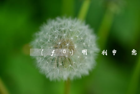 發(fā)明專利申請需要遞交哪些資料
