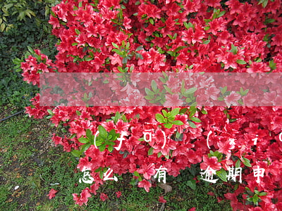 發(fā)現(xiàn)信用卡有逾期了怎么辦(有過逾期申請信用卡)