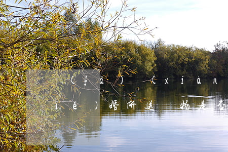 發(fā)現(xiàn)女朋友已結(jié)婚，所送禮物是否可以要回？