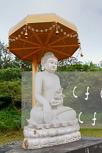 發(fā)現(xiàn)男朋友欠信用卡(發(fā)現(xiàn)男朋友欠了很多信用卡)