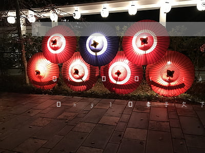 發(fā)現(xiàn)老婆欠了網(wǎng)貸(妻子欠下巨額網(wǎng)貸)