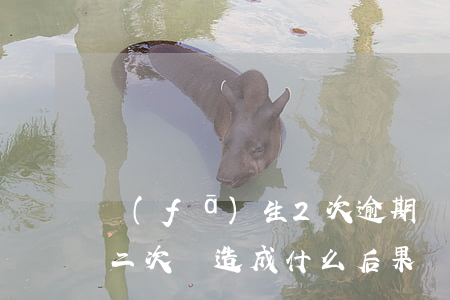 發(fā)生2次逾期會影響貸款(房貸逾期二次會造成什么后果)