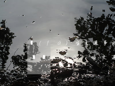 發(fā)生交通事故打官司要請什么樣律師(發(fā)生交通事故打官司要請什么樣律師)