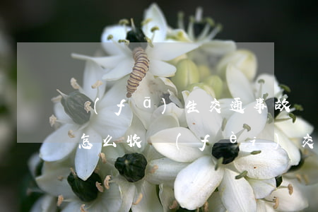發(fā)生交通事故請(qǐng)律師怎么收費(fèi)(交通事故律師收費(fèi)一般是怎么收的)