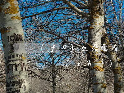 發(fā)生交通人傷事故后的處理流程和賠償時(shí)間(交警人傷事故處理流程)