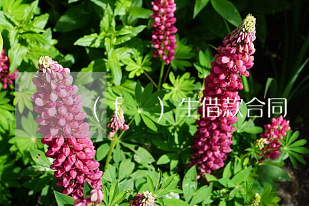 發(fā)生借款合同糾紛如何處理