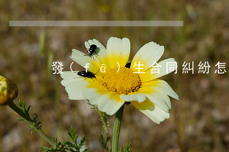 發(fā)生合同糾紛怎么解決