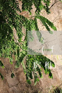 發(fā)生廠房租賃合同糾紛如何處理(廠房租賃糾紛解決案例)