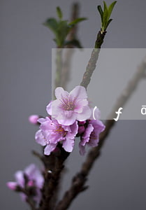 發(fā)生火災(zāi)該怎么做