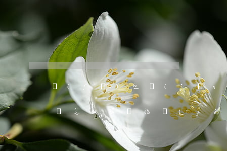 發(fā)生經(jīng)濟(jì)糾紛怎么解決(物業(yè)跟業(yè)主發(fā)生經(jīng)濟(jì)糾紛怎么解決)