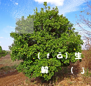 發(fā)生經(jīng)濟糾紛怎么解決(解決經(jīng)濟糾紛的4種方式)