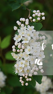 發(fā)生繼承遺漏遺產(chǎn)怎么辦(遺產(chǎn)繼承案需要注意的問題)