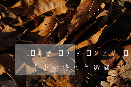 發(fā)生車(chē)禍信用卡逾期-不小心信用卡逾期