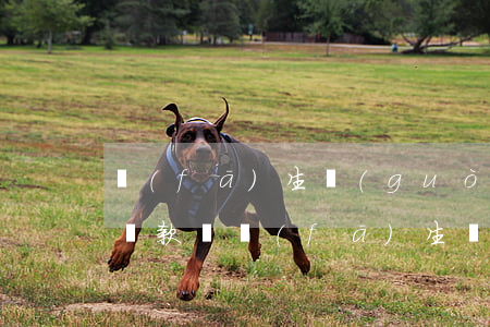 發(fā)生過(guò)信用卡逾期可以貸款嗎(發(fā)生過(guò)一次信用卡逾期,能貸款嗎)