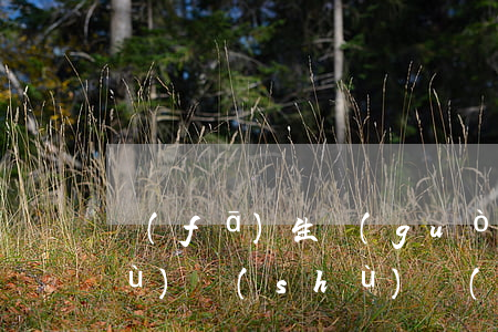發(fā)生過(guò)逾期的賬戶(hù)數(shù)(發(fā)生過(guò)逾期的賬戶(hù)數(shù)多久可以消除)