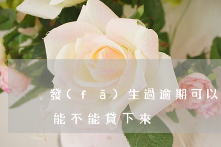 發(fā)生過逾期可以貸款嘛(有逾期貸款能不能貸下來)