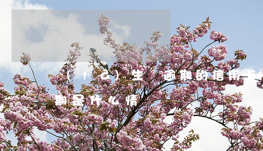 發(fā)生過逾期的信用卡賬戶(信用卡逾期是什么情況)